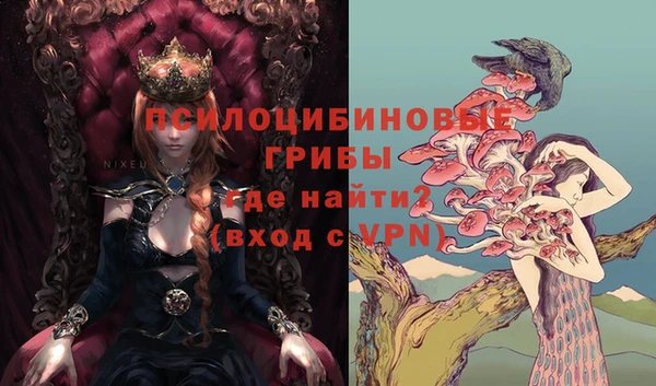 соль ск Алексеевка
