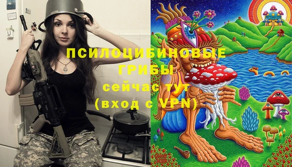 соль ск Алексеевка