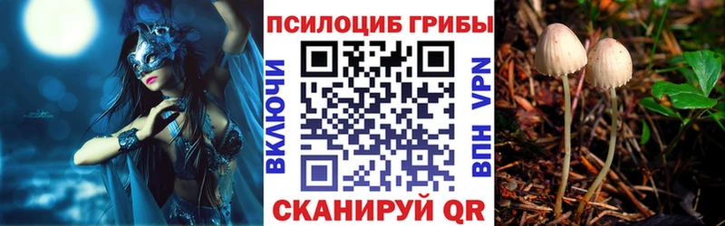 Галлюциногенные грибы ЛСД  сайты даркнета Telegram  Белгород  KRAKEN зеркало 